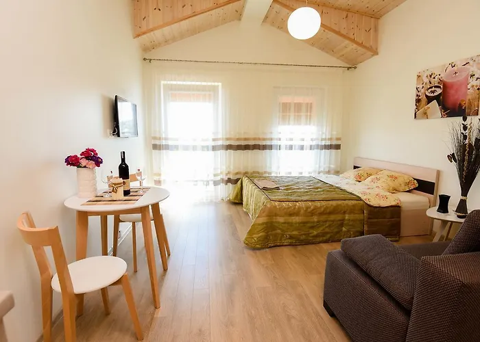 Apartmán Apartamentai Palangos Centre